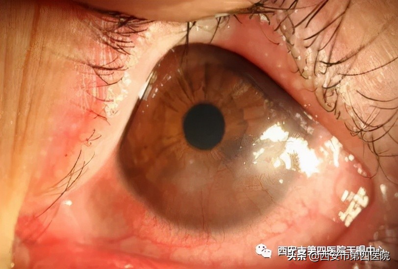 健康中国行动要应对的具体问题,健康中国行动2019-2030主要内容