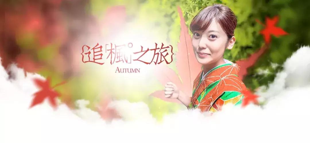 日本自驾游驾驶证怎么解决,中国游客可以在日本开车吗