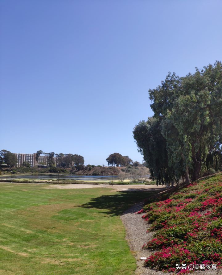 乔治梅森大学优缺点,申请乔治梅森大学