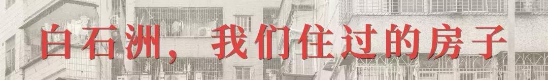 白石洲消失的原因,白石洲今日消息