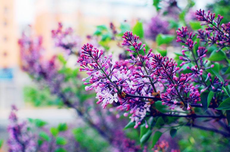 原创诗词14首,经典诗词36首