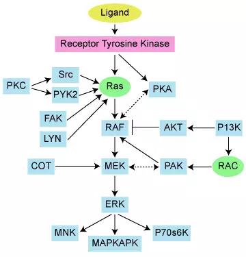 硬货的解析,硬货必买的10种