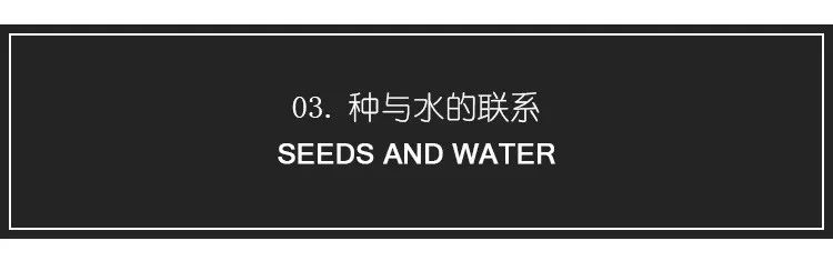 独龙玉和水沫子哪个更像翡翠,水沫子与冰种翡翠打灯对比