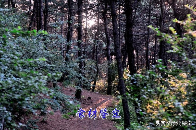 沈阳周边自然风光一日游的地方,沈阳隐秘的地方