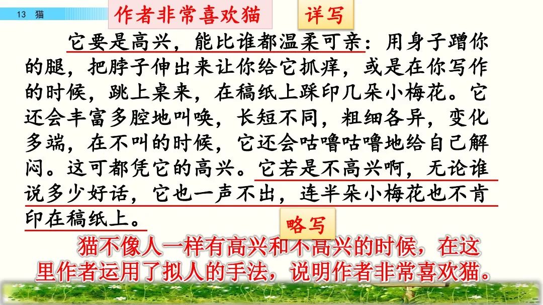 四年级下册语文13课猫课文解析,部编版四年级下册13猫教学视频