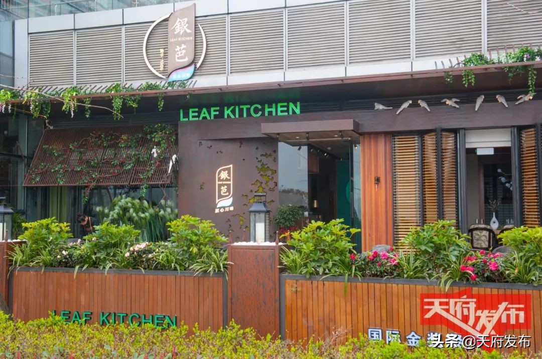 世警会游玩视频,世警会时间安排表