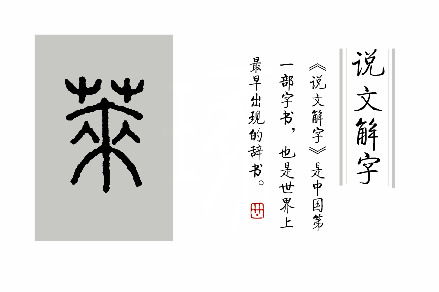 《说文解字》第105课:如何准确理解“蒹葭苍苍”?