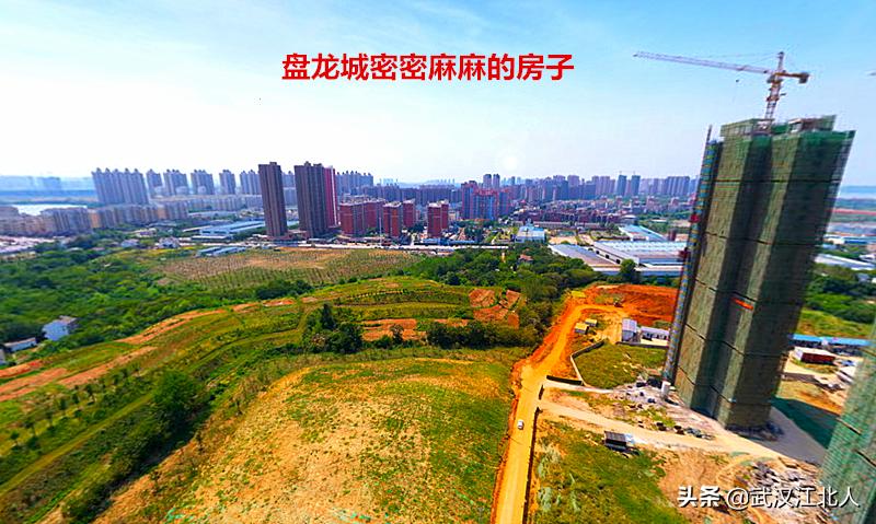 黄陂和盘龙城的区别,盘龙城在黄陂的地位