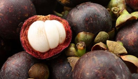 山竹哪里便宜又好,又高又大的山竹怎么样