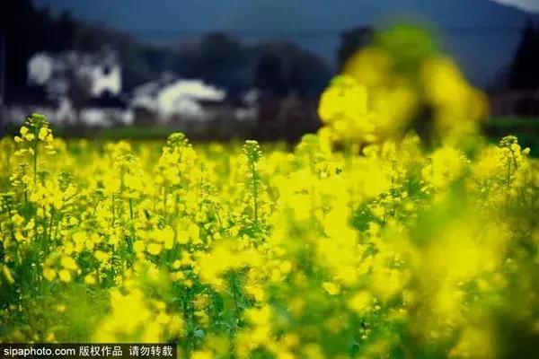 两个人去江西玩2天需要多少钱,江西旅游必去十大景点免门票