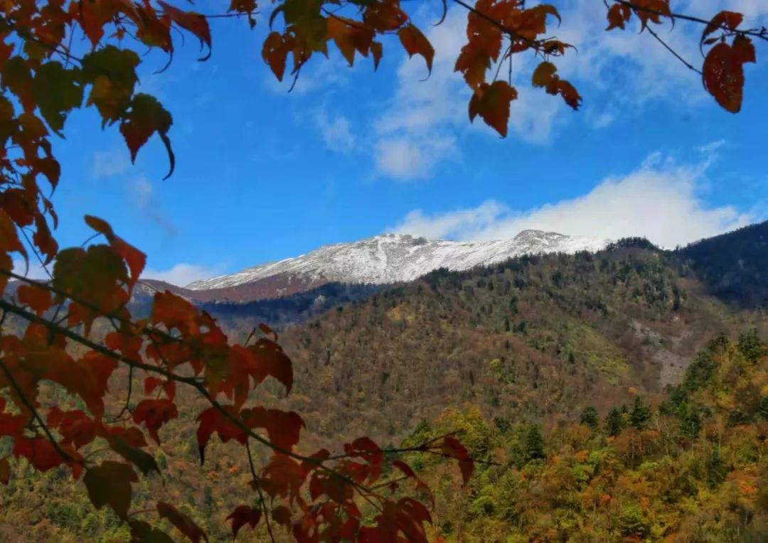 绉嬪ぉ鏉ヤ簡鎴戝湪绛変綘鏈楄,绉嬪ぉ鏉ヤ簡鎴戝湪鍐ぉ绛変綘