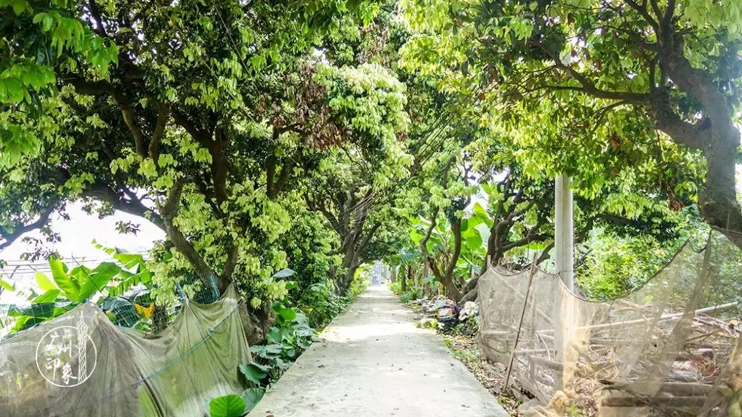 广州隐世峡谷游玩攻略,广州要坐船才能登的小岛