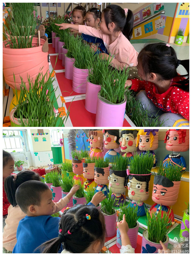 小角落大自然介绍,幼儿园大自然的奥秘主题墙创设