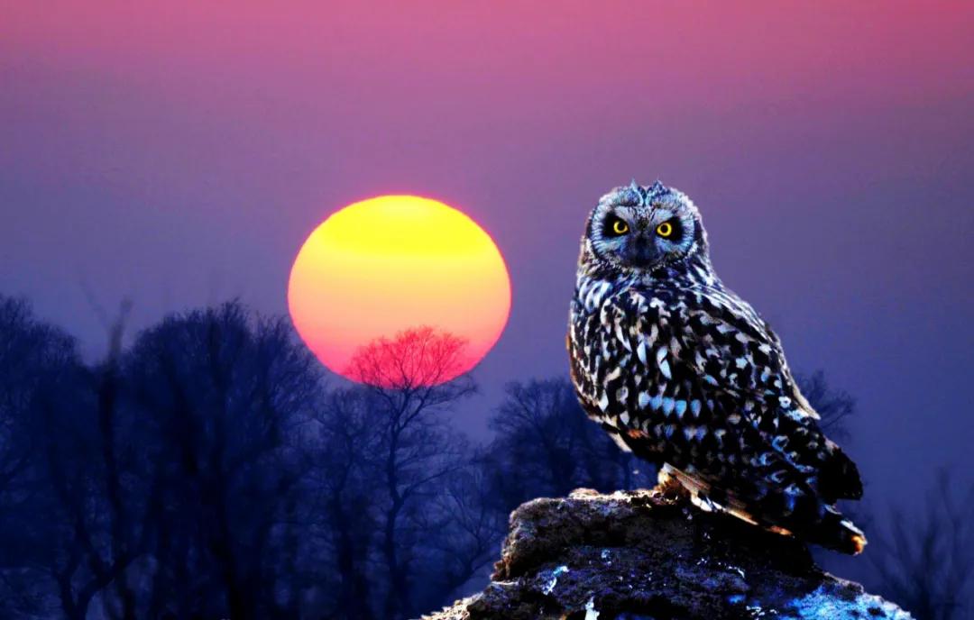 香港第14届全国摄影艺术展,第29届全国摄影艺术展览获奖名单