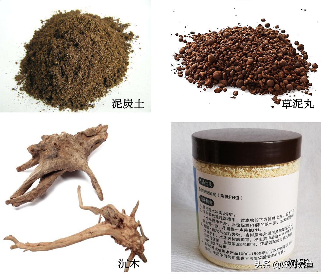 鱼缸换水注意事项养鱼老道,鱼缸养鱼换水的重要性