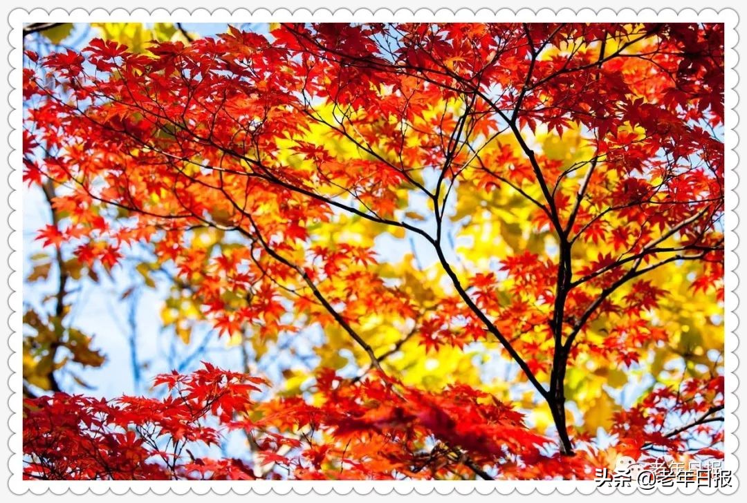 17篇情感微小说，短到极致，却催人泪下，看完泪眼模糊