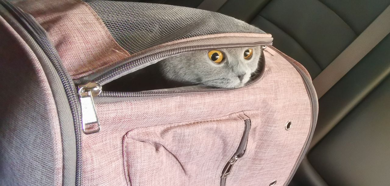 文学和数学的关系,文学和文艺学之间的关系