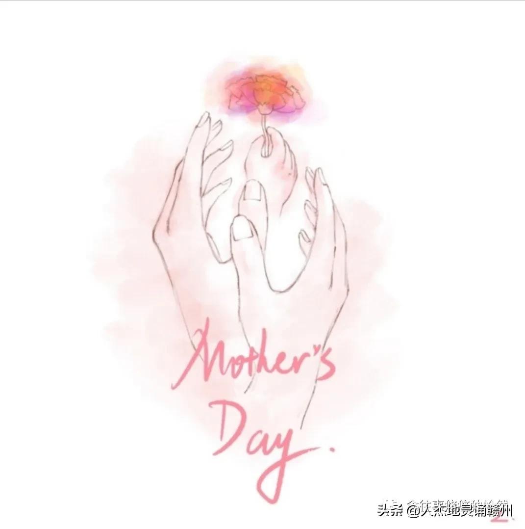 致敬母亲谁言寸草心报得三春晖,谁言三春晖报得寸草心的意思