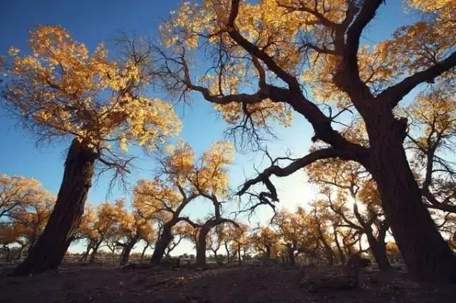 下半年旅行最佳时间表,2023最佳旅游时间表