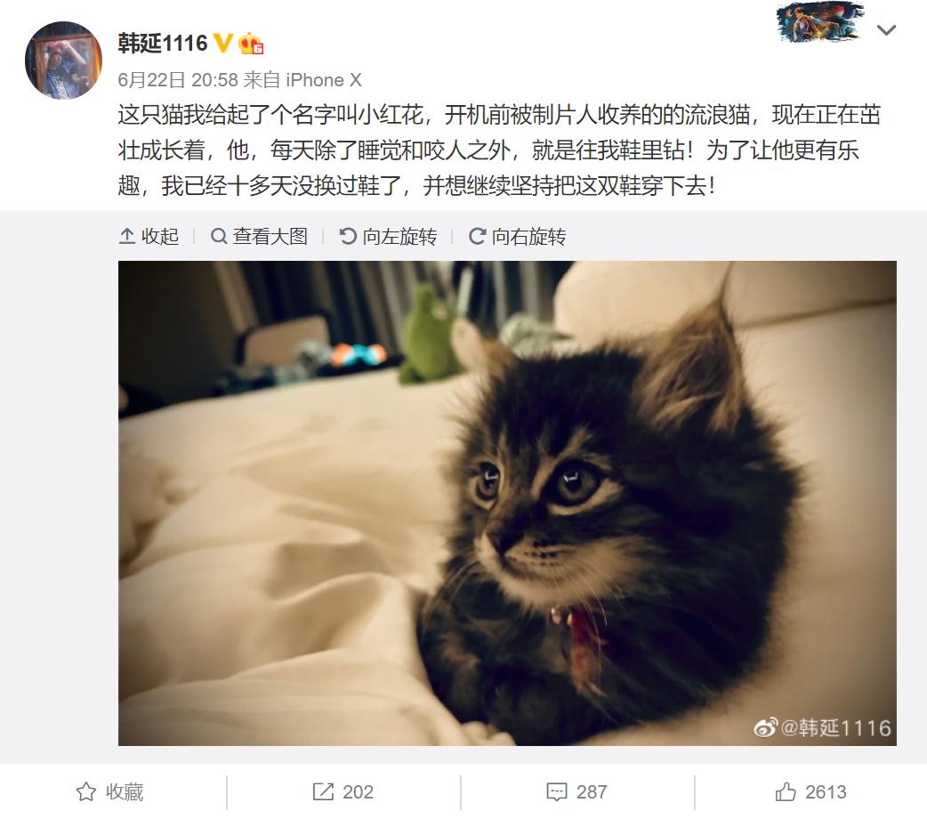 易烊千玺超牛应援,易烊千玺115万应援灯