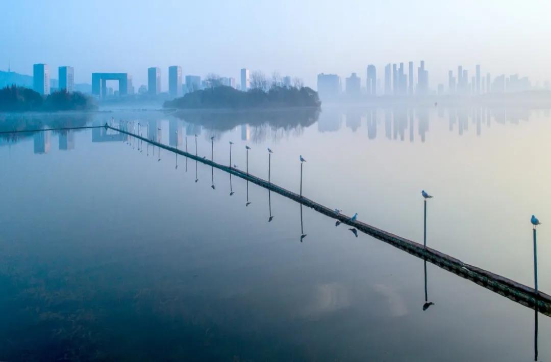 开奖啦！“魅力蠡开”摄影大赛获奖名单公布