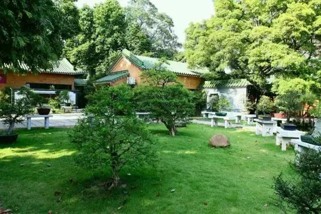 五一广东游玩攻略人少,五一广东免费的旅游景点