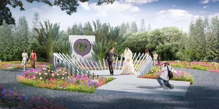 年宵花争奇斗艳价格亲民惹人爱,春节最流行的年宵花颜值高寓意好