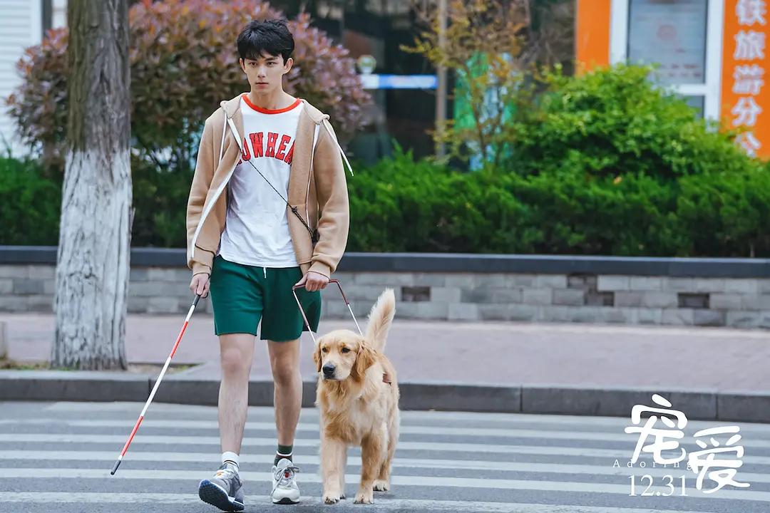 票房超10亿的五部烂片,史上最成功烂片狂揽几十亿票房