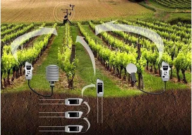 智慧林业物联网,智能智慧林业