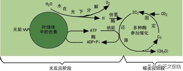 如果氧气一瞬间消失地球会怎么样,地球没有氧气地球长什么样子