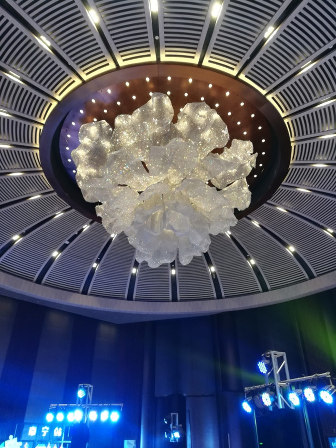 南宁会展豪生大酒店设计,广西南宁国际会展中心豪生大酒店