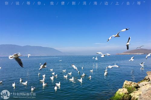 重庆行旅行社,重庆行千里国际旅行社靠谱吗