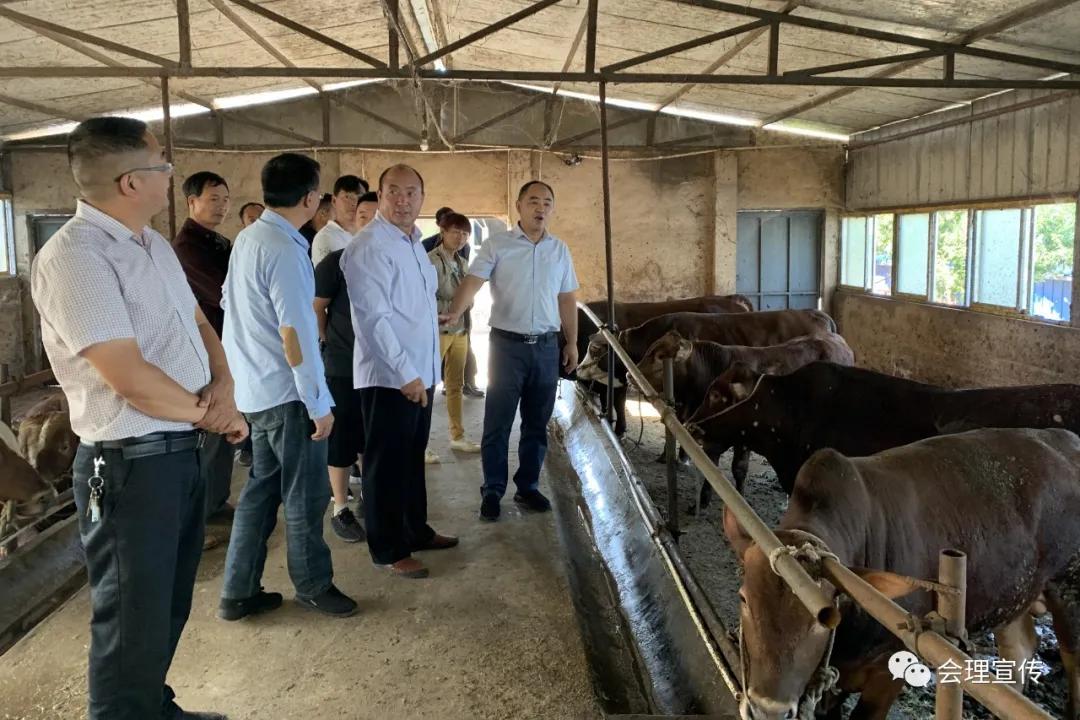 瞄准商机勇创业，会理这家人齐心搞养殖
