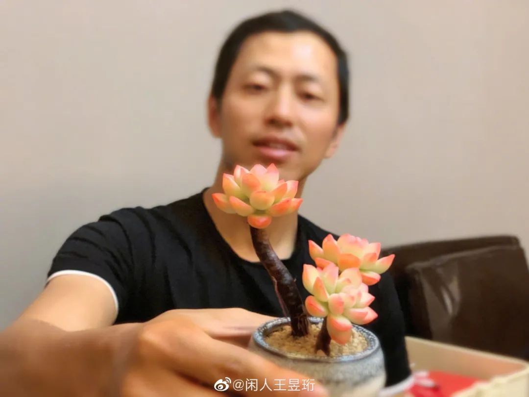 王昱珩上学经历,清华毕业的王昱珩