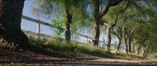 不用农药，让超1000种动植物生态平衡，这次美国人真的做到了