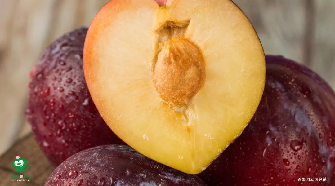 鍙堝ぇ鍙堢敎鐨勬亹榫欒泲鏉庡瓙,鎭愰緳铔嬫潕鍙ｆ劅