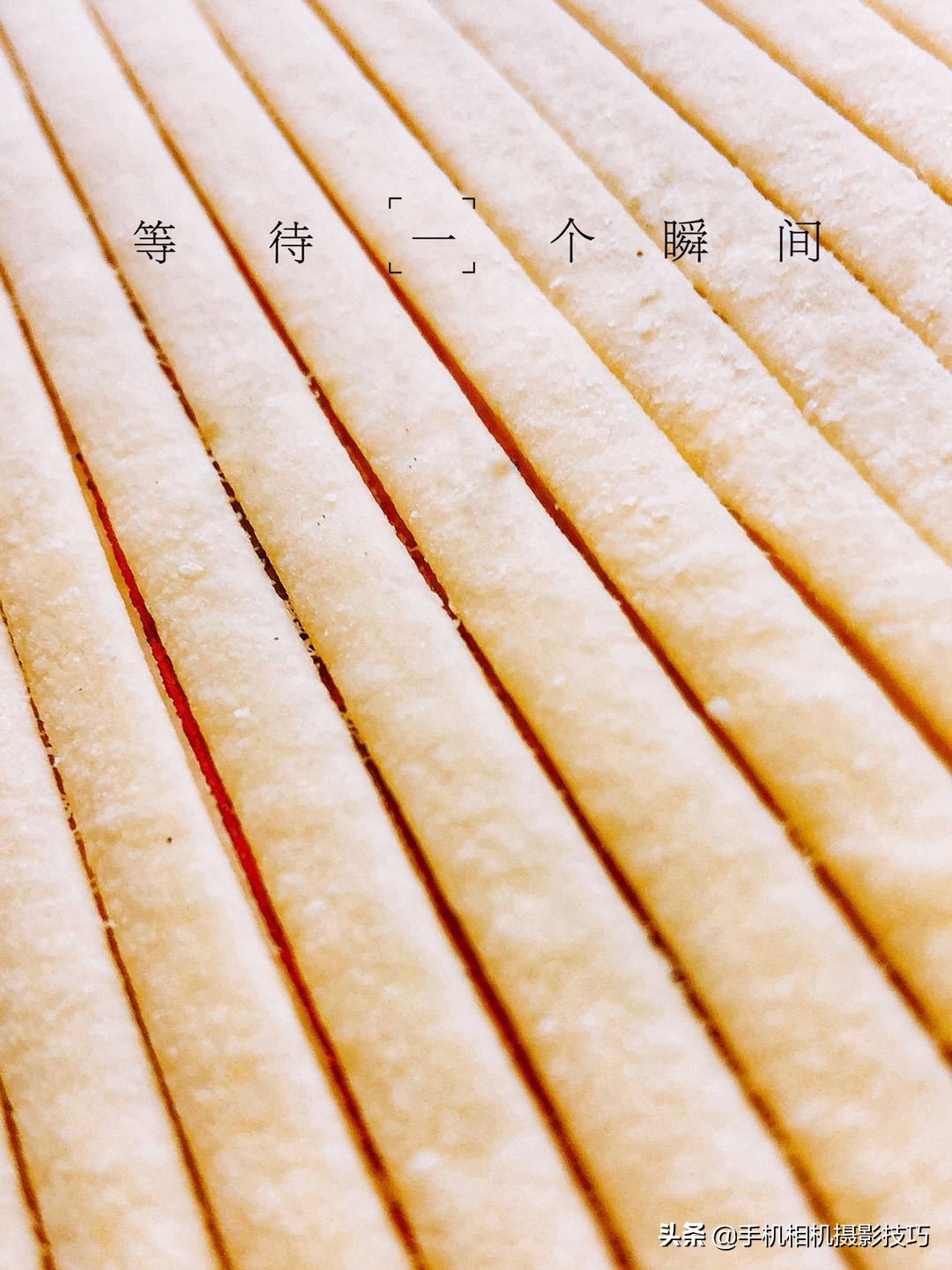 拍花小技巧怎样拍出好看的照片,如何拍花拍出意境