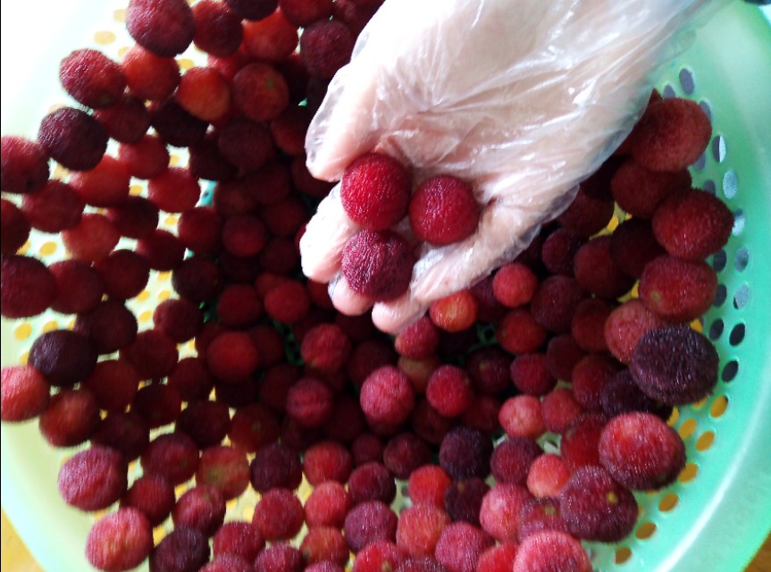 赣州现采摘应季杨梅推荐,又到了杨梅成熟的季节泡点杨梅酒