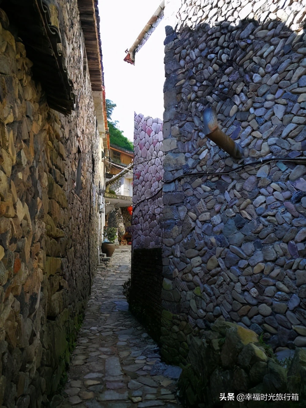 在浙江缙云的一个小山村，居然也有“人熊”传说，至今仍津津乐道