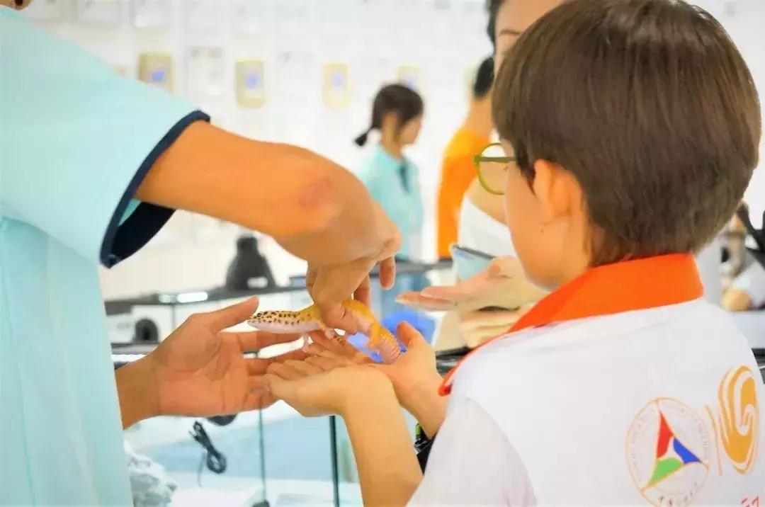 爆火广州溜娃圈的网红双展，宠粉价¥39.9买一送一！劲省二百多元