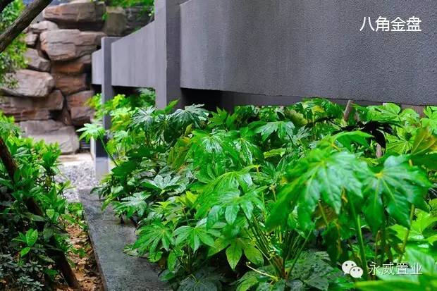 未来社区居住体验怎样,现代居住区的现状