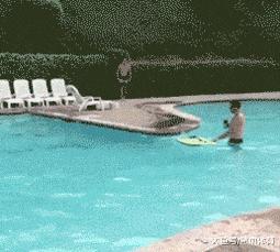 男士家庭地位动图,家庭地位动漫图