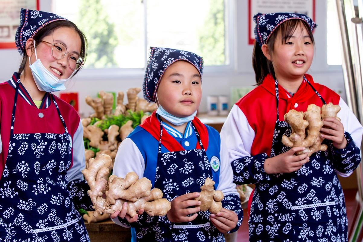 鎴戠埍鎴戠殑瀹朵埂鍒涙剰,鎴戠埍鎴戠殑瀹朵埂瀹炶返鏁欐
