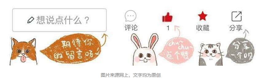 猫咪感冒咳嗽和猫鼻支区别,猫咪咳嗽也是因为猫鼻支吗