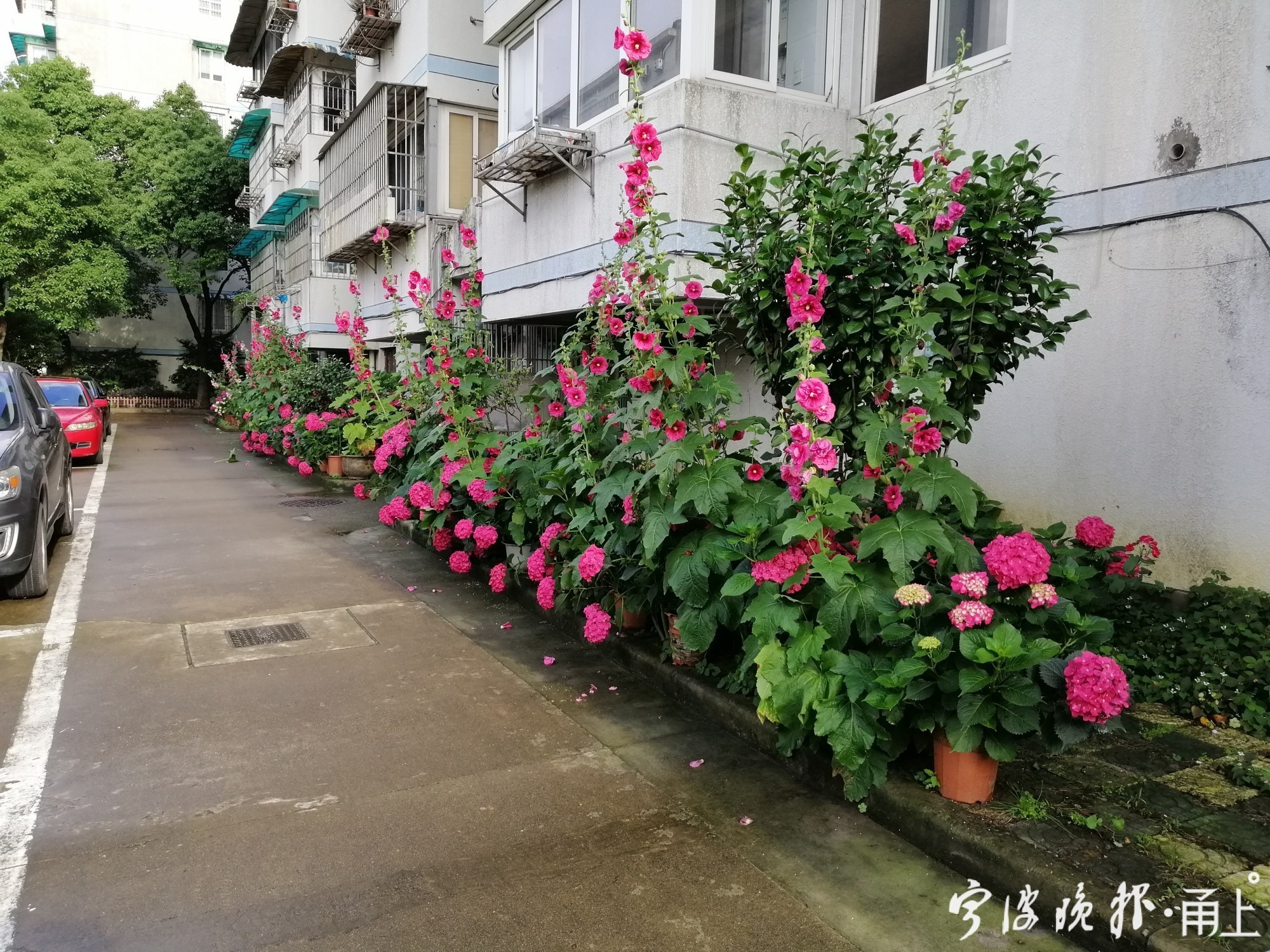 要让人民群众推窗见绿出门见景,居民开窗见绿五分钟入公园