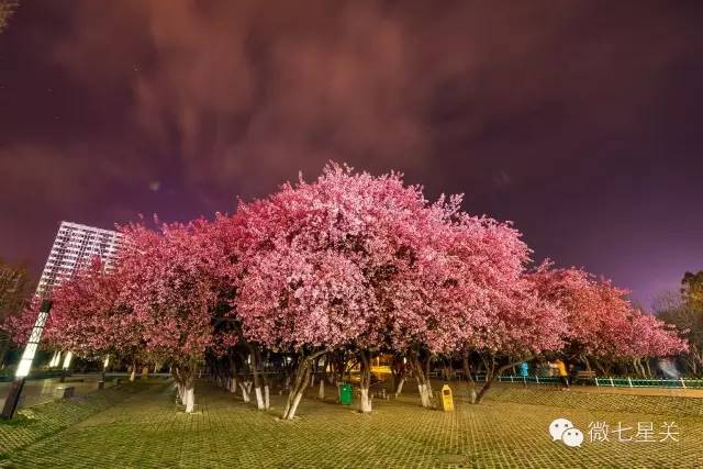 过去的毕节和现在的毕节,以前的毕节和现在毕节做对比
