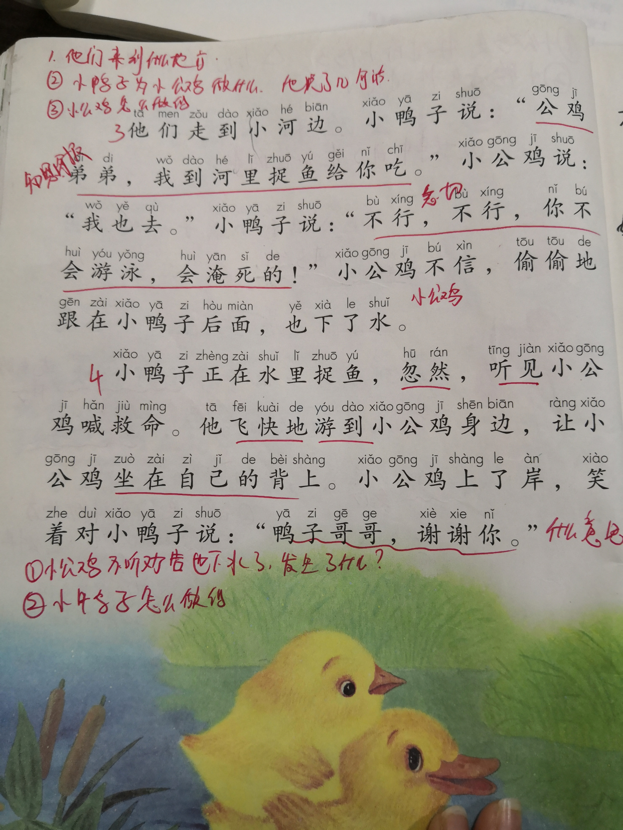 小公鸡和小鸭子一年级下册电子书,一年级小公鸡和小鸭子生字组词