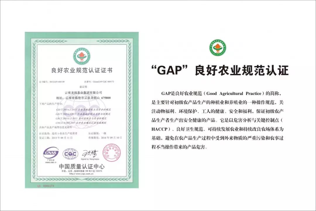 龙润集团年会,龙润集团投资一万亿