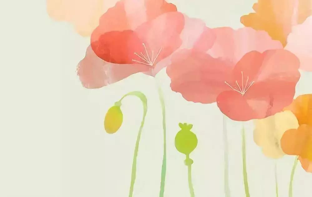 宁可教子猛如狼,宁可教子猛如狼不可教子如绵羊