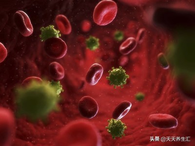 蚊子传染艾滋病毒吗,蚊子会传染艾滋病吗